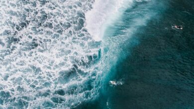 identifier activity overview list