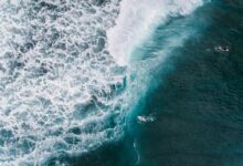 identifier activity overview list