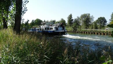 operational flow data insights