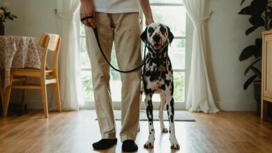 caller alert pattern review