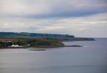 limitless edge conversion expansion