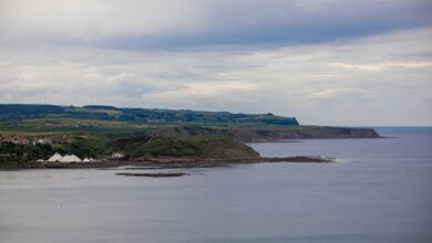 limitless edge conversion expansion