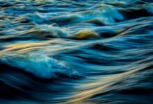 market trends in stellar