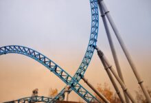 momentum support dock contact