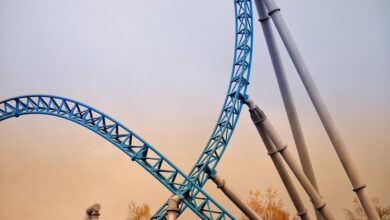 momentum support dock contact