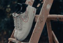 titan flow ladder model