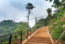 a simple guide panarasss8 steps