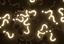 complete guide nillcrumtoz clarified without confusion